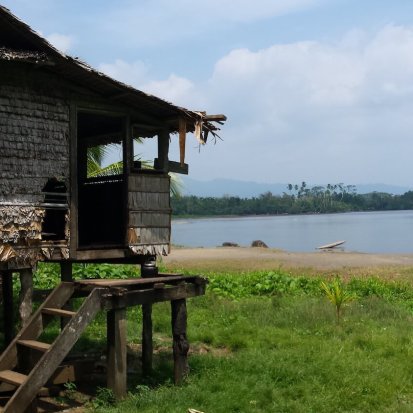 Photo from a fieldtrip of a thatched building overlooking water in Papua New Guinea, with a palm tree and grassy area